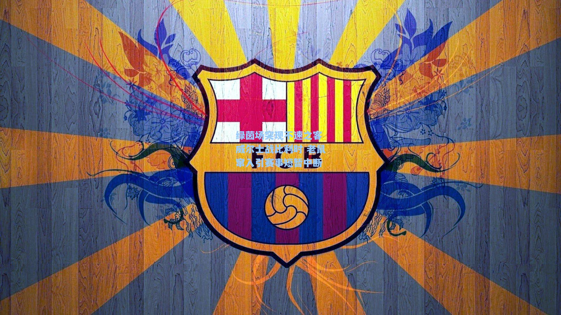 绿茵场突现不速之客 威尔士战比利时 老鼠窜入引赛事短暂中断